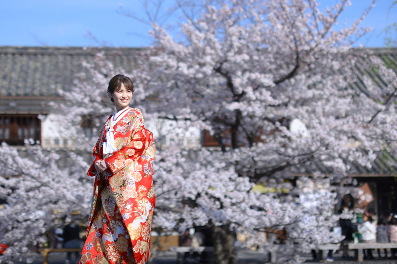 花嫁様のソロカット♥