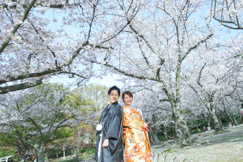 満開の桜の下で☆彡