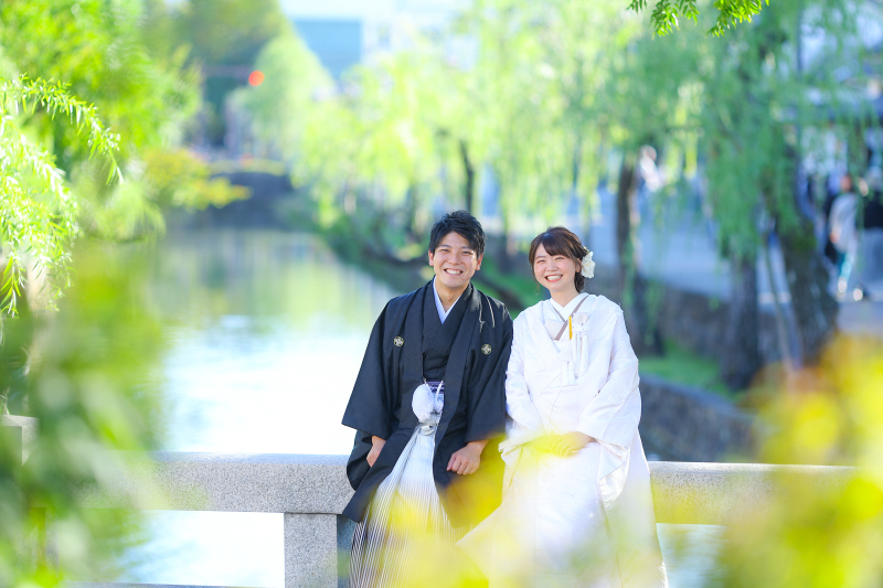 陽の光と柳並木