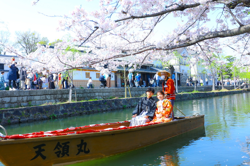 桜の木の下をくぐります！