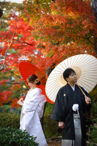 紅葉ロケ×スタジオでペットと撮影♩