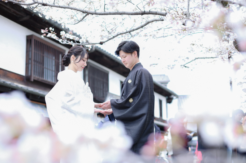 桜に囲まれて♪