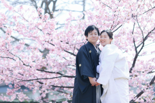 倉敷美観地区×スタジオ×河津桜