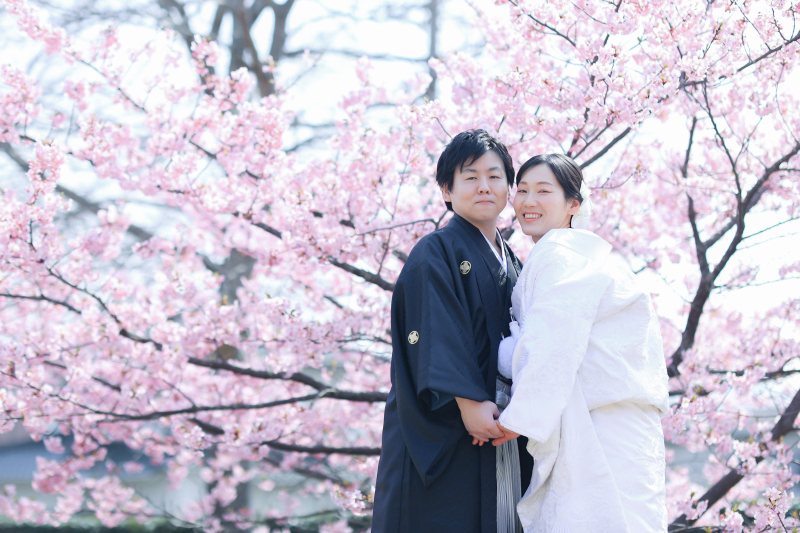 倉敷美観地区×スタジオ×河津桜