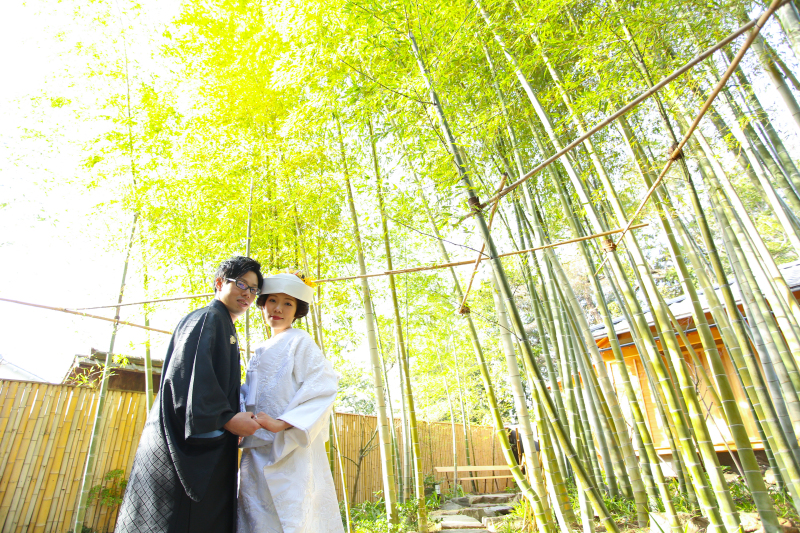 竹林撮影