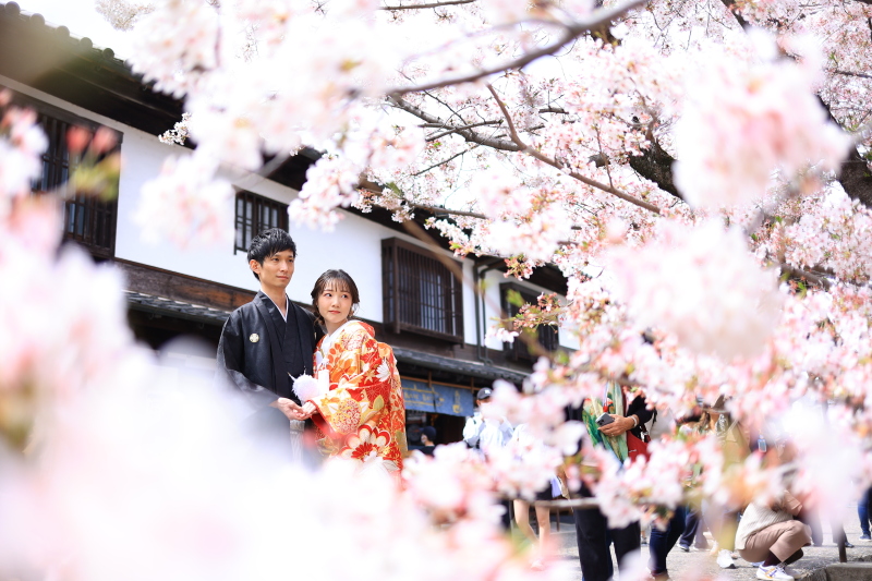 淡いピンクに囲まれて