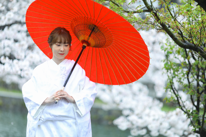 桜と白無垢