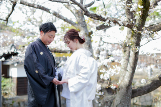 倉敷美観地区で桜ロケ❀