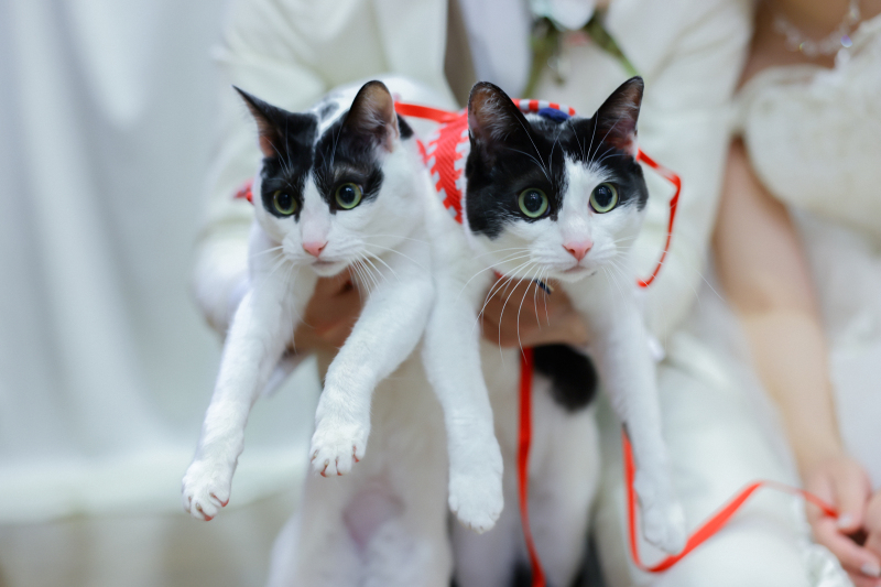 ペットと撮影♩