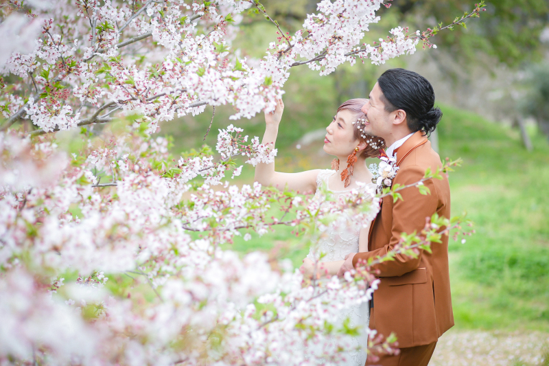 満開の桜と☆彡