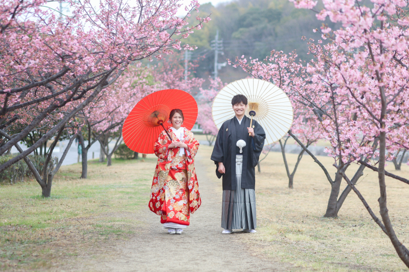 河津桜の並木道