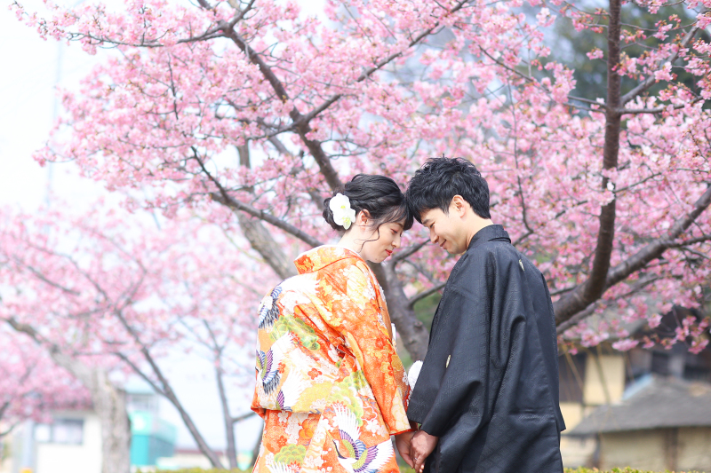 ピンク色の桜❀