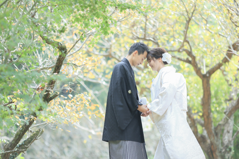 おでこをこつん…