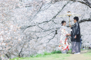 倉敷酒津公園で桜フォト❀