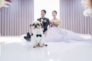 倉敷アモル by STUDIO View 美観地区店