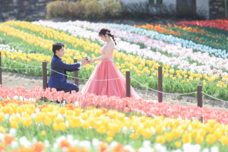 ドイツの森出張料