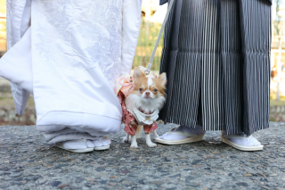 ペットとの撮影