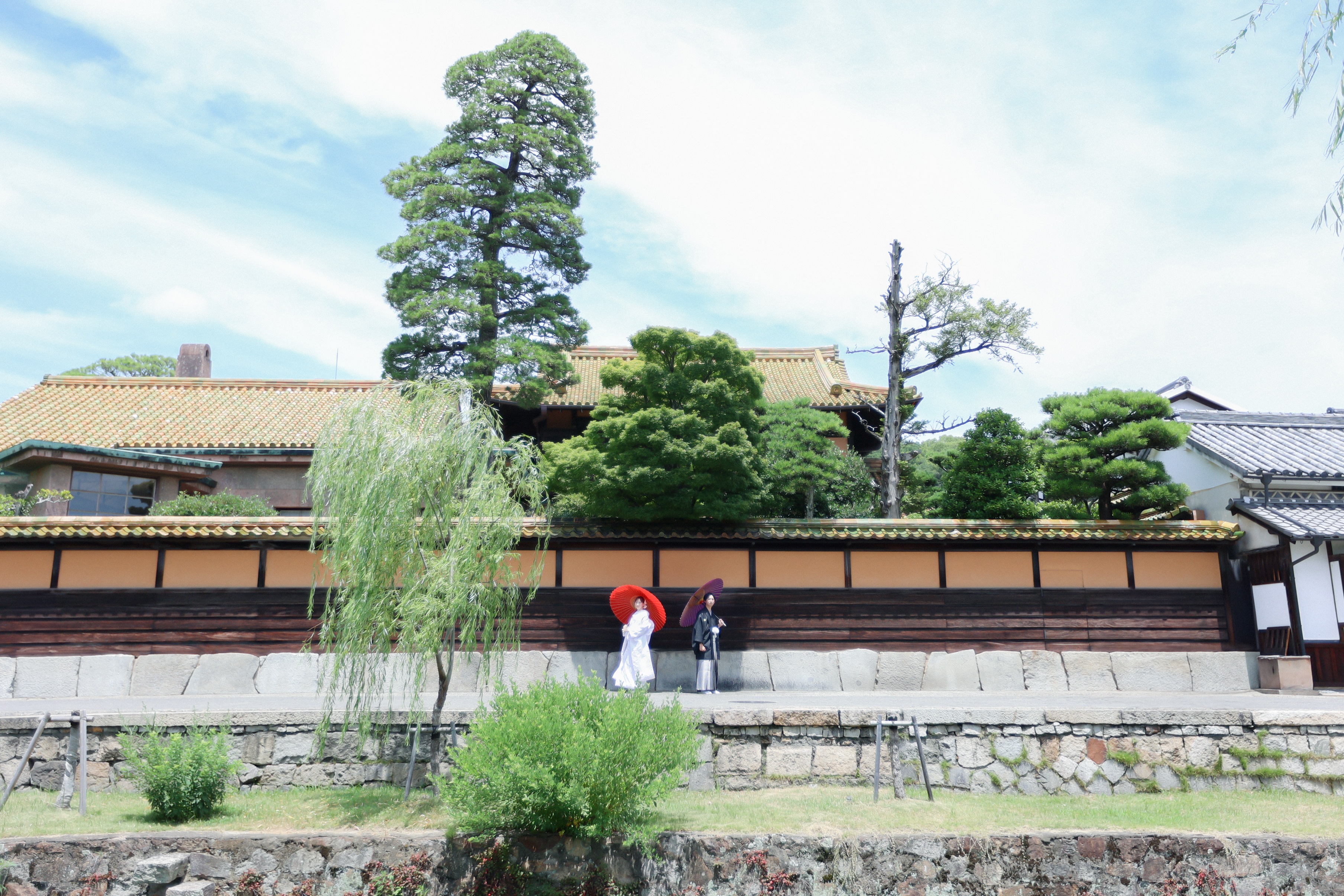 Point1 多彩な撮影シーン