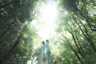 長年の経験を生かし、ロケでもスタジオでもオールマイティに撮影‼お客様に合わせた撮影で思い出のひとコマをおしゃれに創り上げます