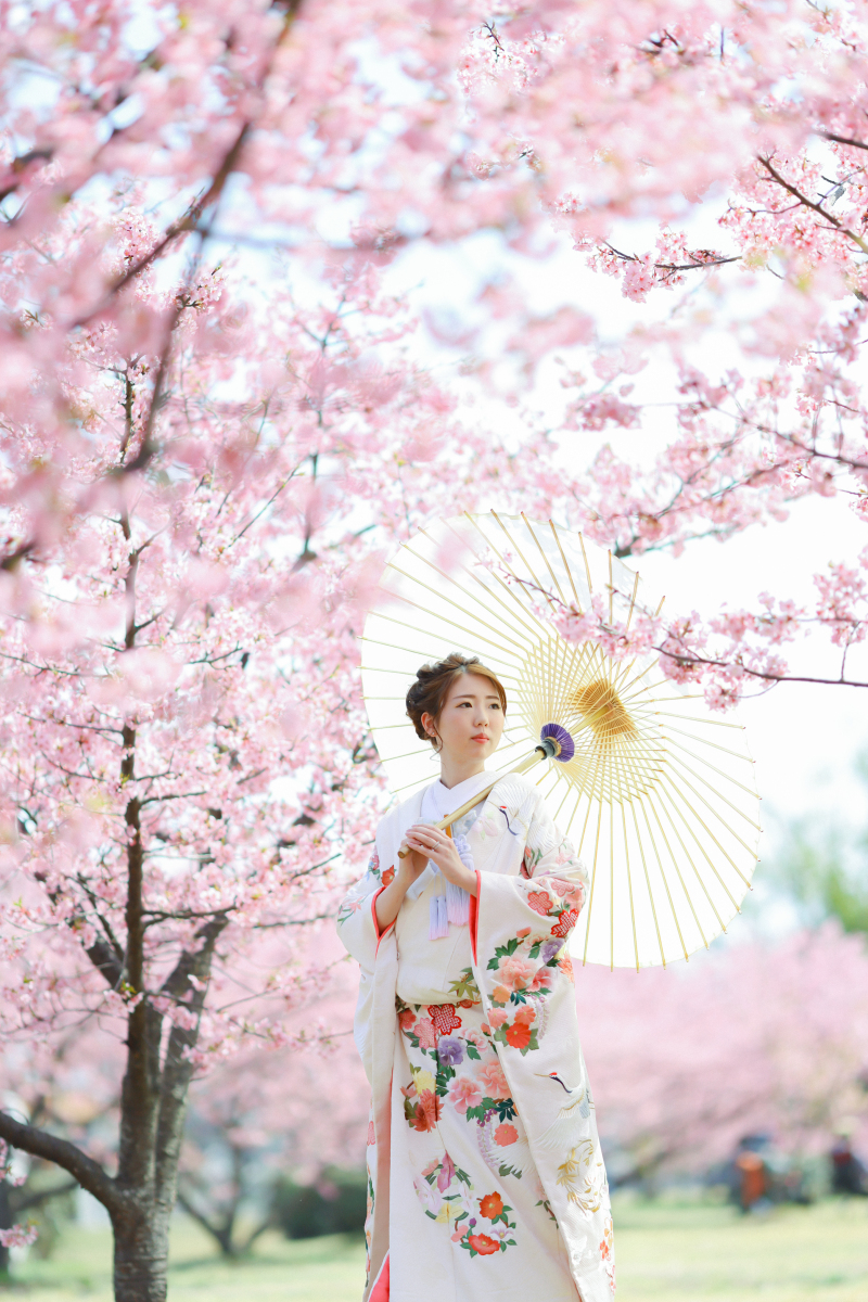 【2026年桜撮影】和装1点河津桜ロケーション〈2/20～3/10〉｜毎年人気の桜シーズン第一弾＊