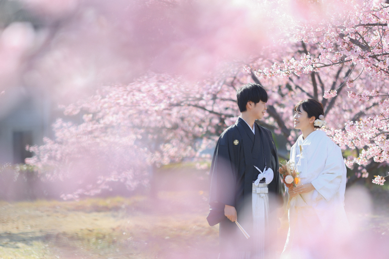 【2026年桜撮影】和装1点河津桜ロケーション〈2/20～3/10〉｜毎年人気の桜シーズン第一弾＊