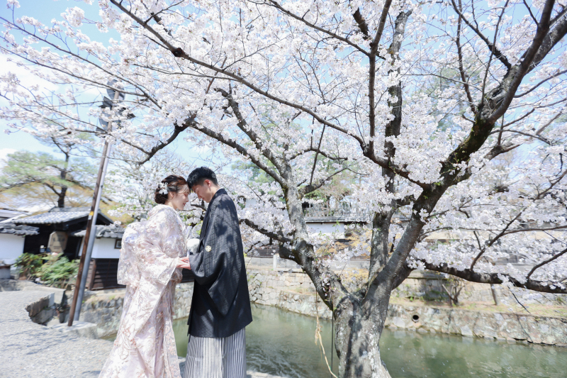 【12月 相談限定価格】和装1点+洋装1点 美観地区ロケ×好きなロケ地〈海・公園から選べる♩〉