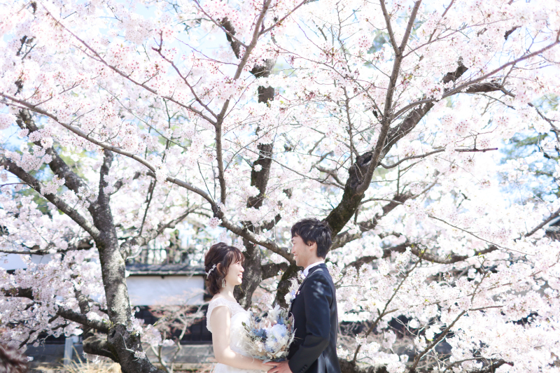 【2026年桜撮影】和装1点+洋装1点　美観地区 ロケ&times;チャペル or スタジオ撮影〈3/27～4/8〉｜毎年人気の桜シーズン＊