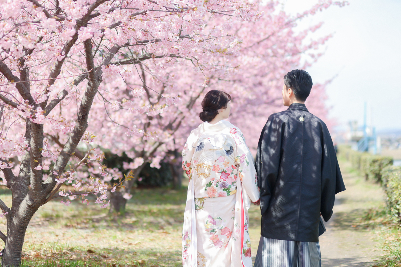 【2026年桜撮影】和装1点河津桜ロケーション〈2/20～3/10〉｜毎年人気の桜シーズン第一弾＊