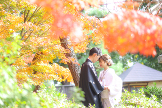 【紅葉早割Campaign】和装1点　美観地区&times;紅葉ロケーション〈10/23～12/11撮影〉