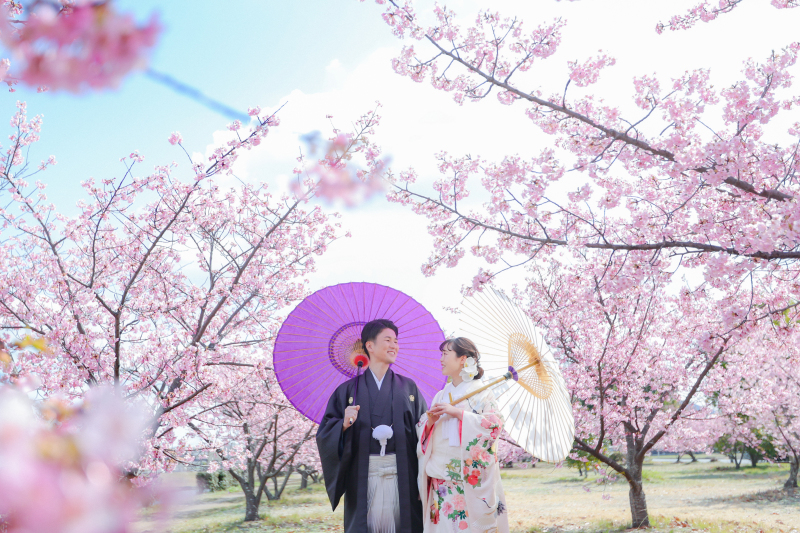 【2026年桜撮影】和装1点河津桜ロケーション〈2/20～3/10〉｜毎年人気の桜シーズン第一弾＊