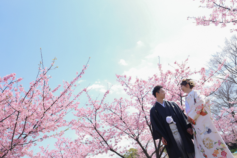 【2026年桜撮影】和装1点河津桜ロケーション〈2/20～3/10〉｜毎年人気の桜シーズン第一弾＊