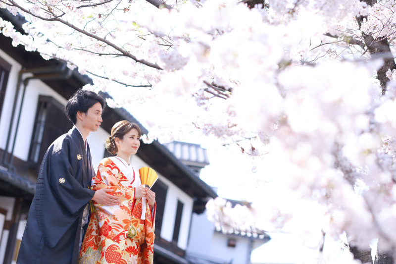 【2026年桜撮影】和装1点 美観地区×桜ロケーション〈3/27~4/8〉|毎年人気の桜シーズン*