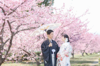 【春ロケ♡応援企画】早割Campaign実施中!!