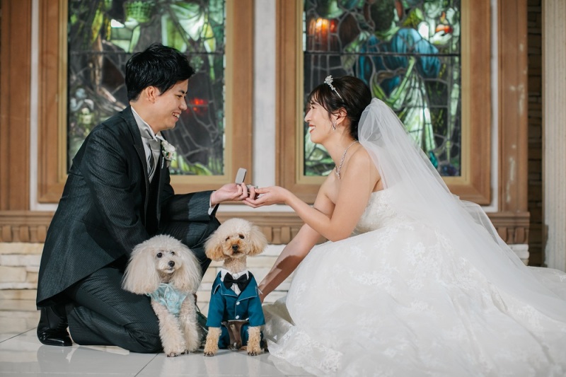 わんちゃんと一緒に