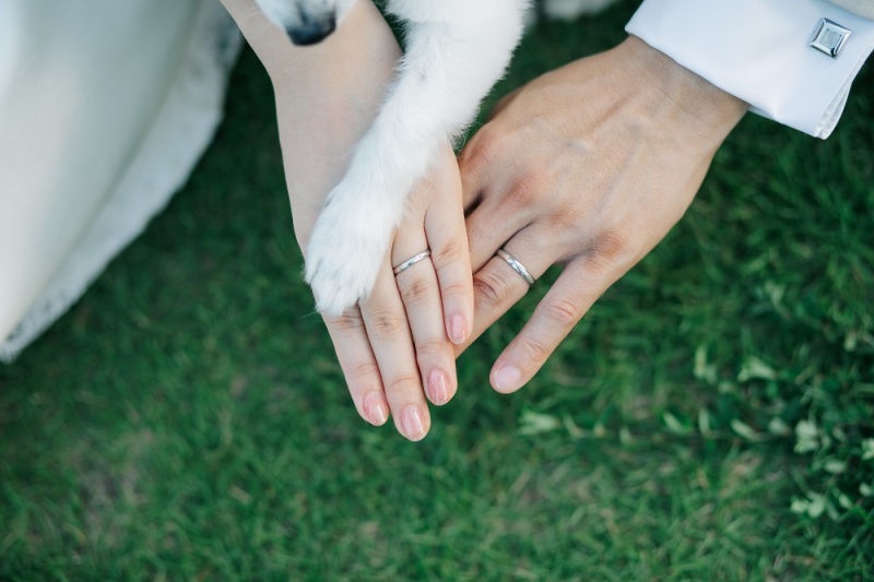 おふたりと一匹