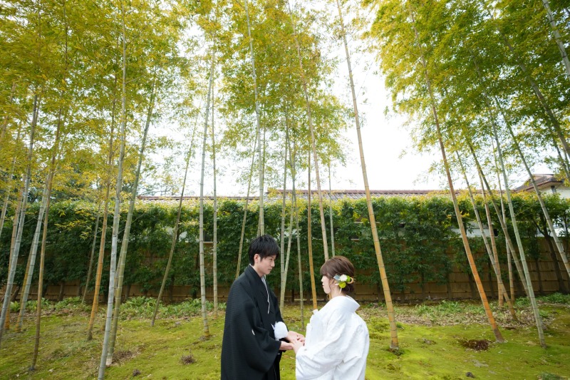 竹林の中で見つめ合い✷