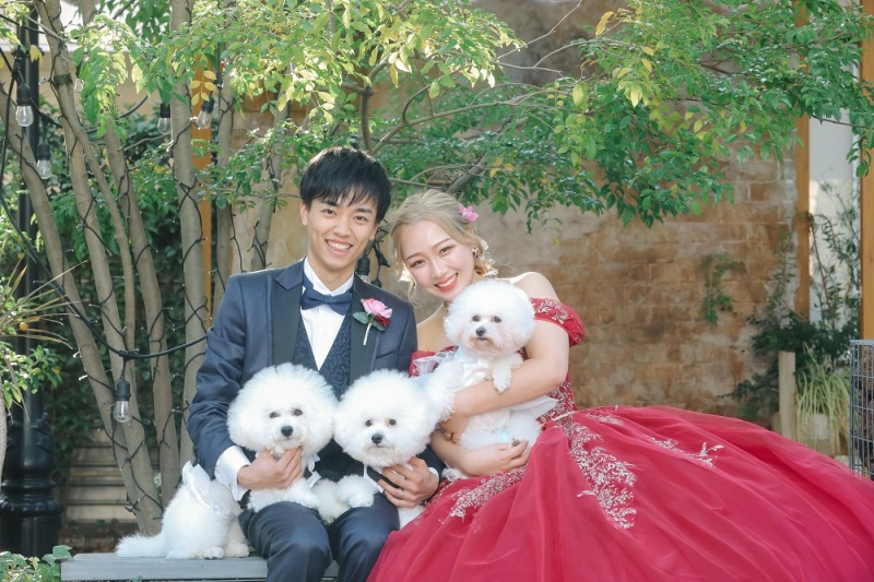 ペット撮影☆彡