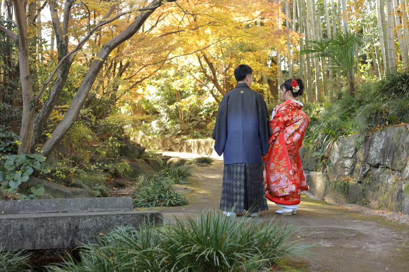 後ろ姿が映える✷