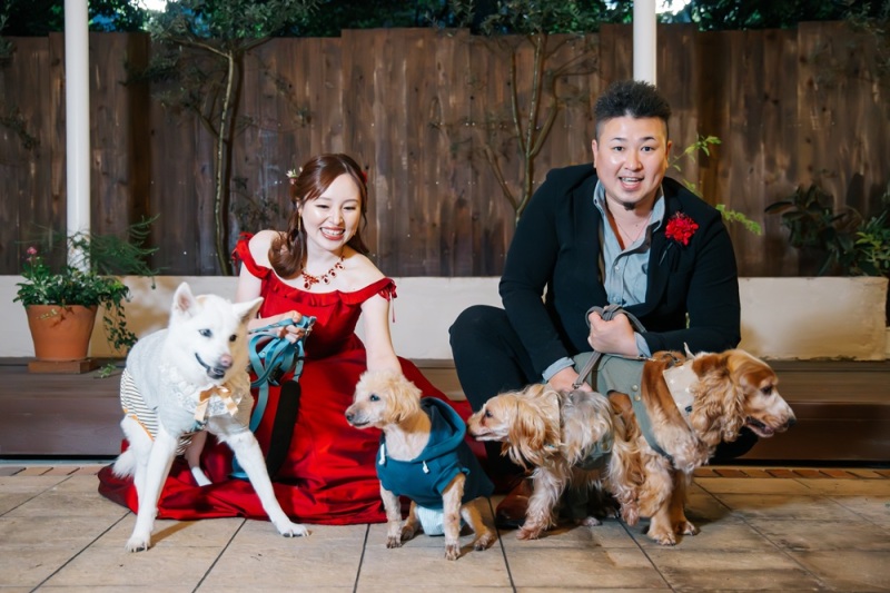 わんちゃん4匹と