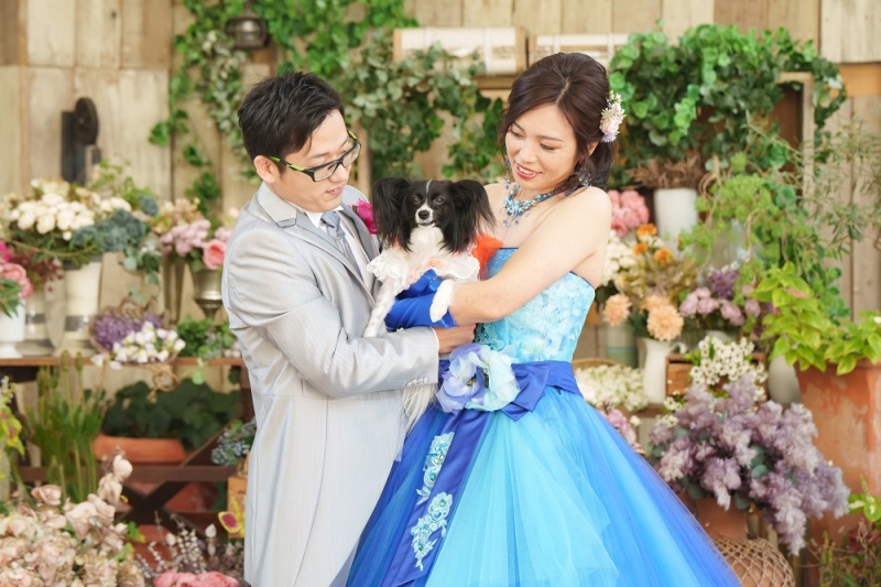 愛犬フォトウェディング♡