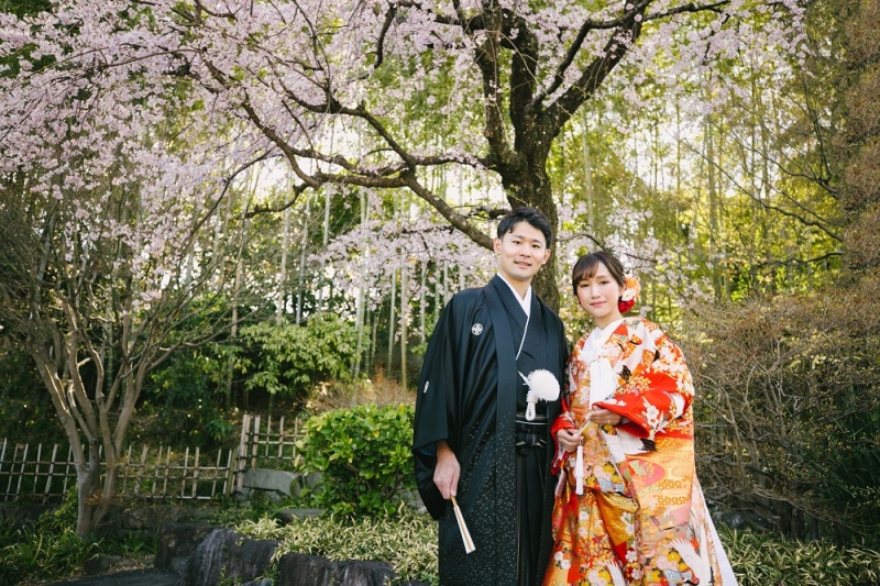 桜の木の下で...