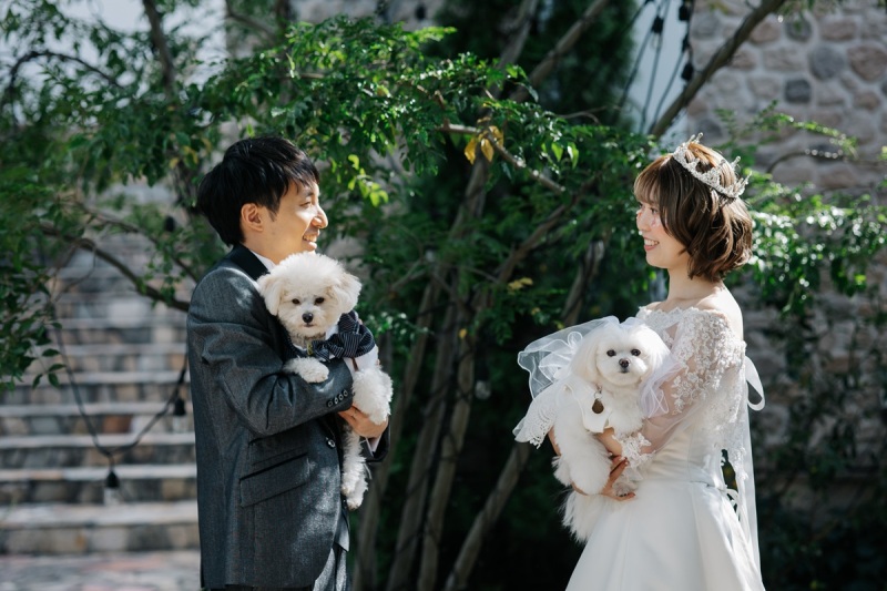 わんちゃんの出番！