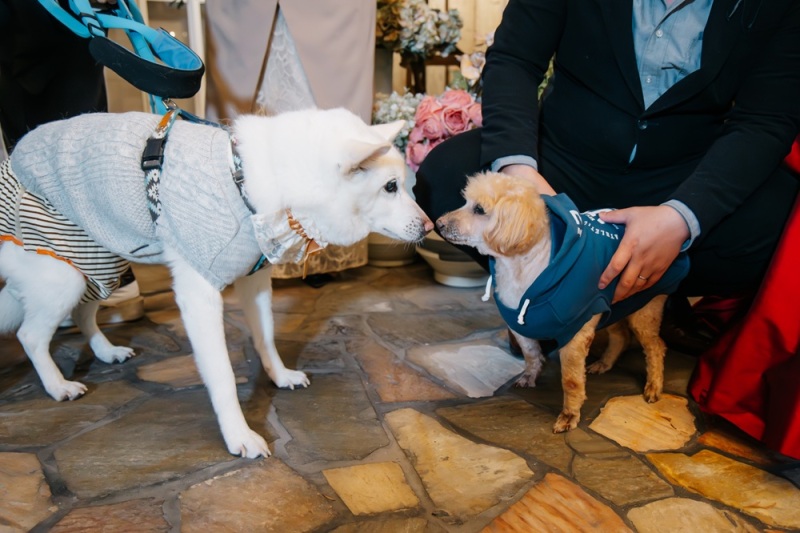 出番が来ました！