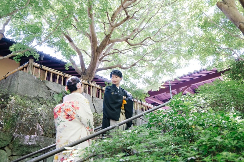 キラキラ降り注ぐ木漏れ日