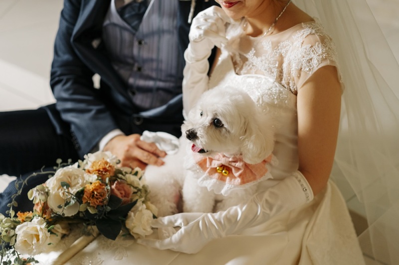 無事にだっこしてもらえました！