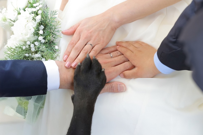 撮影お疲れさまでした！