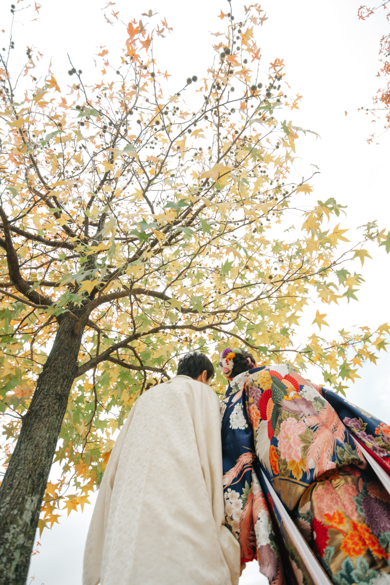 スケール感◎下から見上げるショット