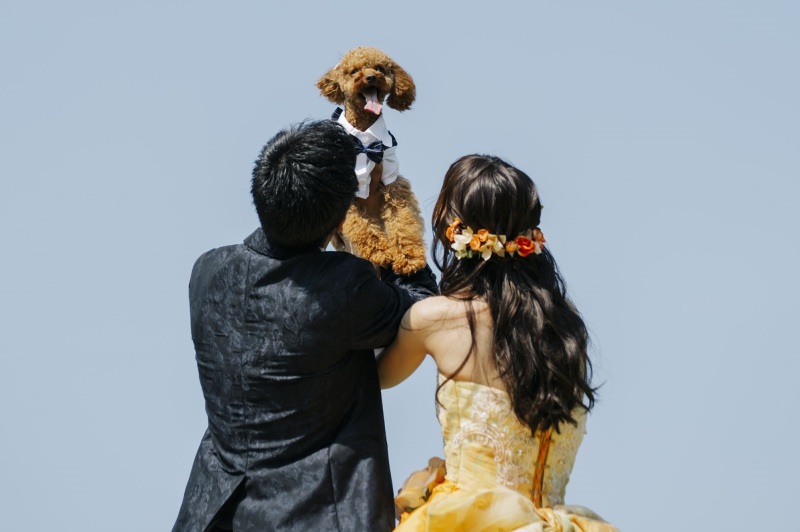 《ペットと一緒に》洋装1着/スタジオ◇70カット全データ付き