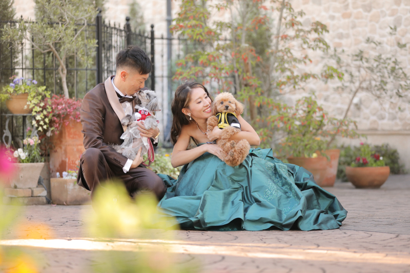 《ペットと一緒に》洋装1着/スタジオ◇70カット全データ付き