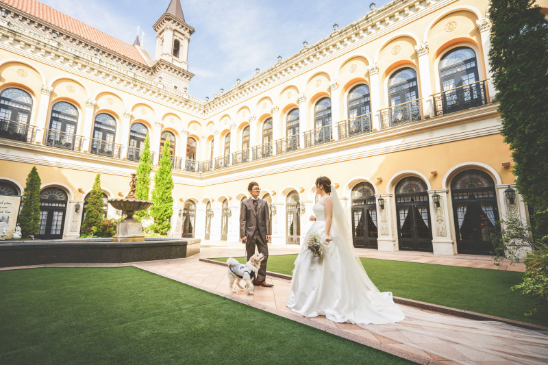 ワンちゃんとお散歩